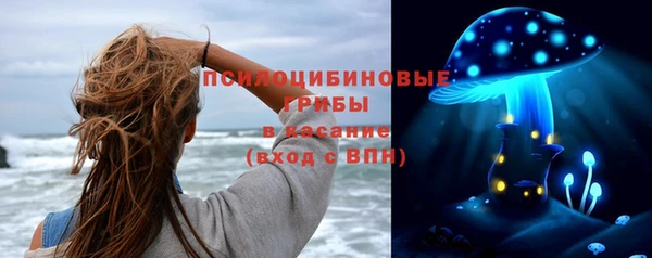 гидропоника Белокуриха