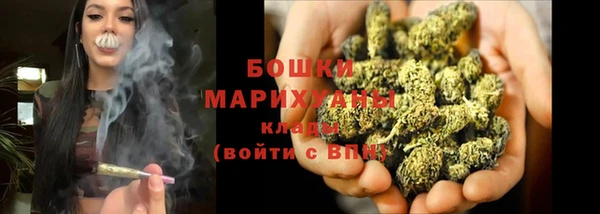 PSILOCYBIN Беломорск