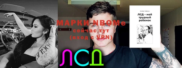 PSILOCYBIN Беломорск