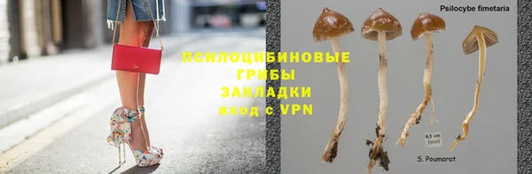 гидропоника Белокуриха
