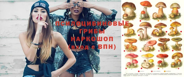 гидропоника Белокуриха