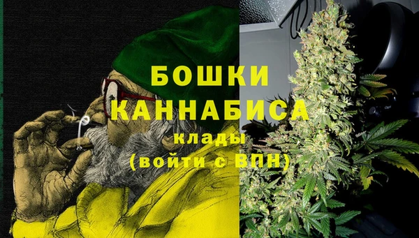 гидропоника Белокуриха