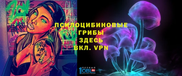 PSILOCYBIN Россошь