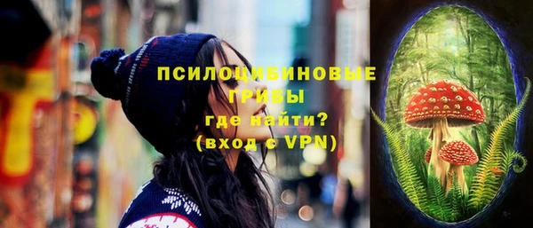гидропоника Белокуриха